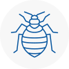 Bed Bug Extermination In Bedlington
